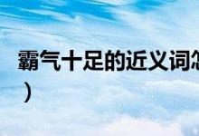 霸气十足的近义词怎么写（霸气十足的近义词）