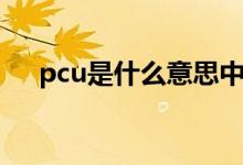 pcu是什么意思中文（pcu是什么意思）