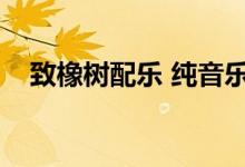 致橡树配乐 纯音乐钢琴曲（致橡树配乐）