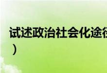 试述政治社会化途径(试述政治社会化的途径)