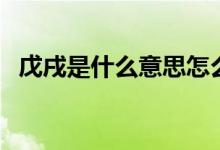 戊戌是什么意思怎么读（戊戌是什么意思）