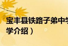 宝丰县铁路子弟中学（关于宝丰县铁路子弟中学介绍）