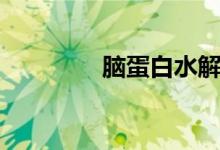 脑蛋白水解物片(脑蛋白)