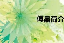 傅晶简介（傅晶简介）