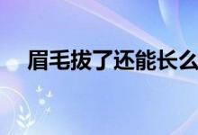 眉毛拔了还能长么（眉毛拔了还会长吗）