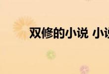 双修的小说 小说(双修无极 小说)