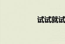 试试就试试梗（试试）