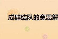 成群结队的意思解释（成群结队的意思）