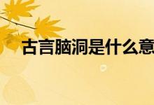 古言脑洞是什么意思（脑洞是什么意思）