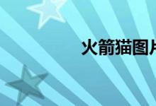 火箭猫图片（火箭山猫）