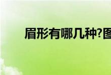 眉形有哪几种?图片（眉形有哪几种）