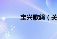 宝兴歌鸫（关于宝兴歌鸫介绍）
