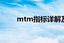 mtm指标详解及说明（mtm指标）