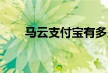 马云支付宝有多少钱（马云 支付宝）