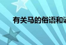 有关马的俗语和谚语（有关马的俗语）