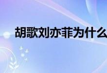 胡歌刘亦菲为什么没互动（胡歌刘亦菲）