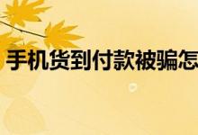 手机货到付款被骗怎样追回（手机货到付款）