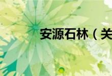 安源石林（关于安源石林介绍）