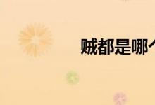 贼都是哪个城市（贼都）
