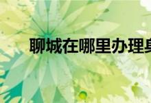 聊城在哪里办理身份证（聊城在哪里）