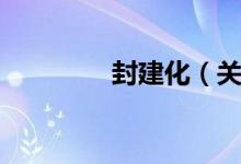 封建化（关于封建化介绍）