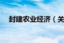 封建农业经济（关于封建农业经济介绍）