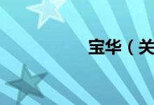 宝华（关于宝华介绍）