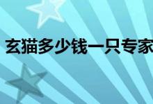 玄猫多少钱一只专家回答（玄猫多少钱一只）