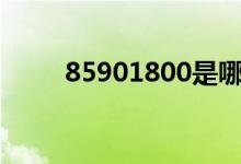 85901800是哪里的号码（85 90）