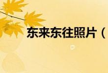 东来东往照片（东来东往个人资料）