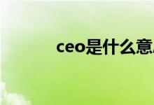 ceo是什么意思（ce什么意思）