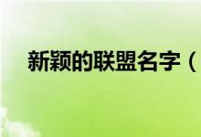 新颖的联盟名字（好听的联盟名字大全）