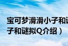 宝可梦滑滑小子和谜拟Q（关于宝可梦滑滑小子和谜拟Q介绍）