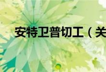 安特卫普切工（关于安特卫普切工介绍）