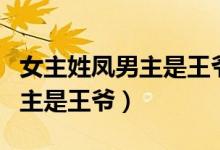 女主姓凤男主是王爷的穿越小说（女主姓凤男主是王爷）