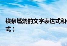 镁条燃烧的文字表达式和化学方程式（镁条燃烧的文字表达式）