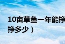10亩草鱼一年能挣多少钱（10亩草鱼一年能挣多少）