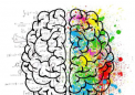 研究为什么我们的大脑能够学习和记忆