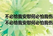 不必给我安慰何必怕我伤悲就当我从此收起真情谁也不给（不必给我安慰何必怕我伤悲）