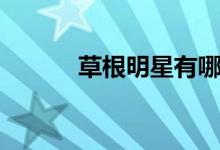 草根明星有哪些人（草根明星）