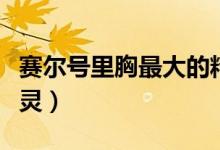 赛尔号里胸最大的精灵（赛尔号十大胸最大精灵）