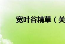 宽叶谷精草（关于宽叶谷精草介绍）
