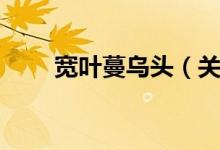 宽叶蔓乌头（关于宽叶蔓乌头介绍）