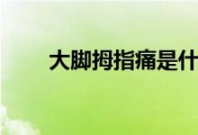 大脚拇指痛是什么原因（大脚论坛）