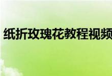 纸折玫瑰花教程视频（星星管折玫瑰花视频）