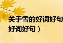 关于雪的好词好句摘抄大全20字（关于雪的好词好句）