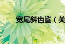 宽尾斜齿鲨（关于宽尾斜齿鲨介绍）