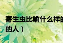 寄生虫比喻什么样的人物（寄生虫比喻什么样的人）