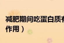 减肥期间吃蛋白质有什么作用（蛋白质有什么作用）
