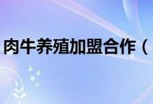 肉牛养殖加盟合作（养殖肉牛20头投资多少）